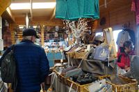 
DSC00409